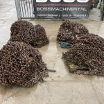 Photo 26-02-2024, 08 36 35