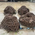 Photo 26-02-2024, 08 36 48