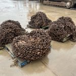 Photo 26-02-2024, 08 36 53 (1)