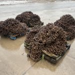 Photo 26-02-2024, 08 36 57