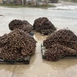 Photo 26-02-2024, 08 37 02 (1)